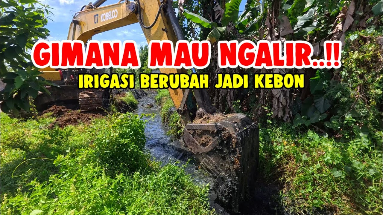 KACAU BOSS.. ‼️MODEL NYA BEGINI GIMANA MAU NGALIR || IRIGASI BERUBAH JADI KEBON