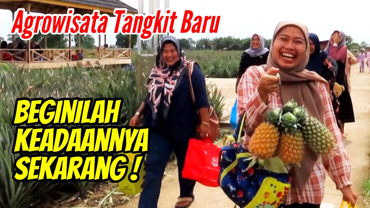 AGROWISATA TANGKIT BARU, Begini Keadaannya Sekarang‼️