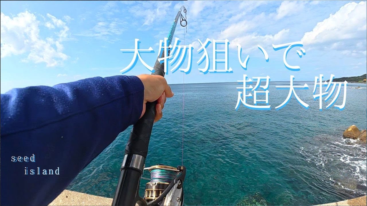 【移住生活】大物が釣れる堤防には怪物が潜んでいた【種子島】