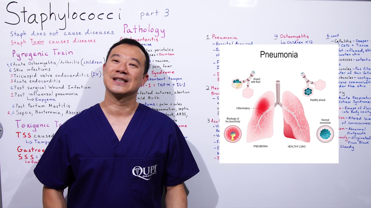Staphylococcus Part 3 of 5