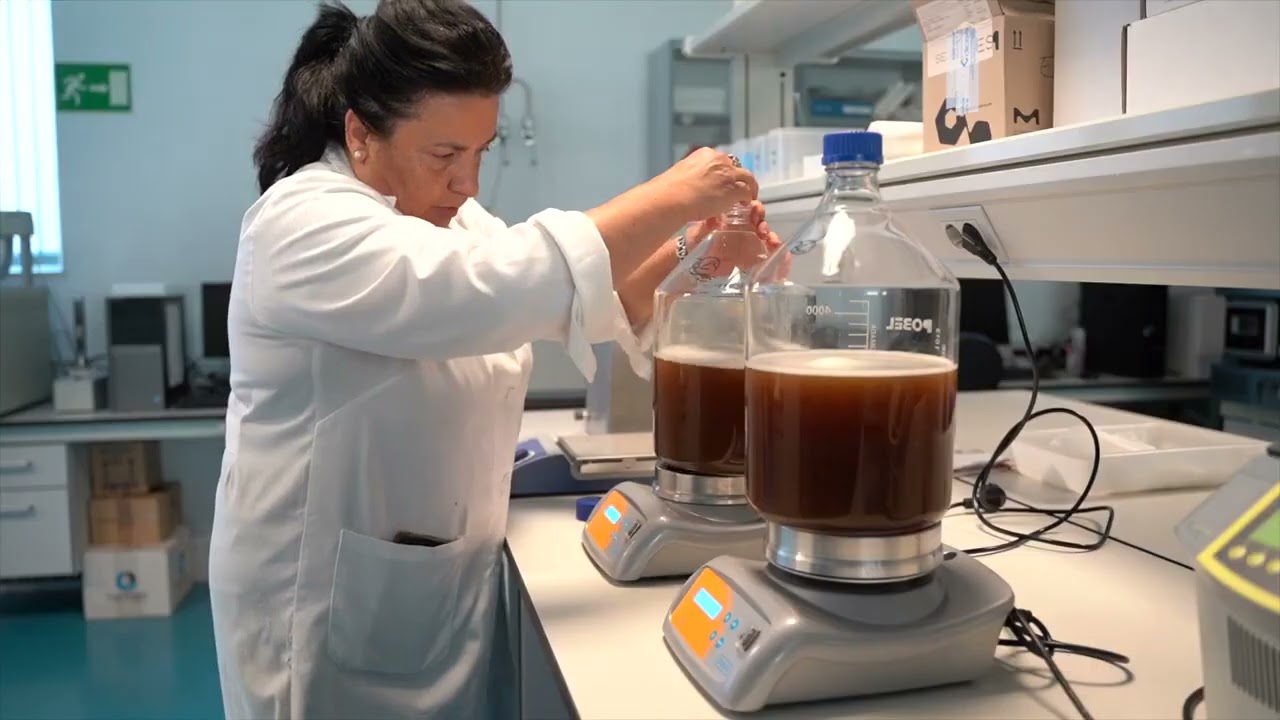 Proyecto SEAWINES: Hacia una vitivinicultura circular y sostenible
