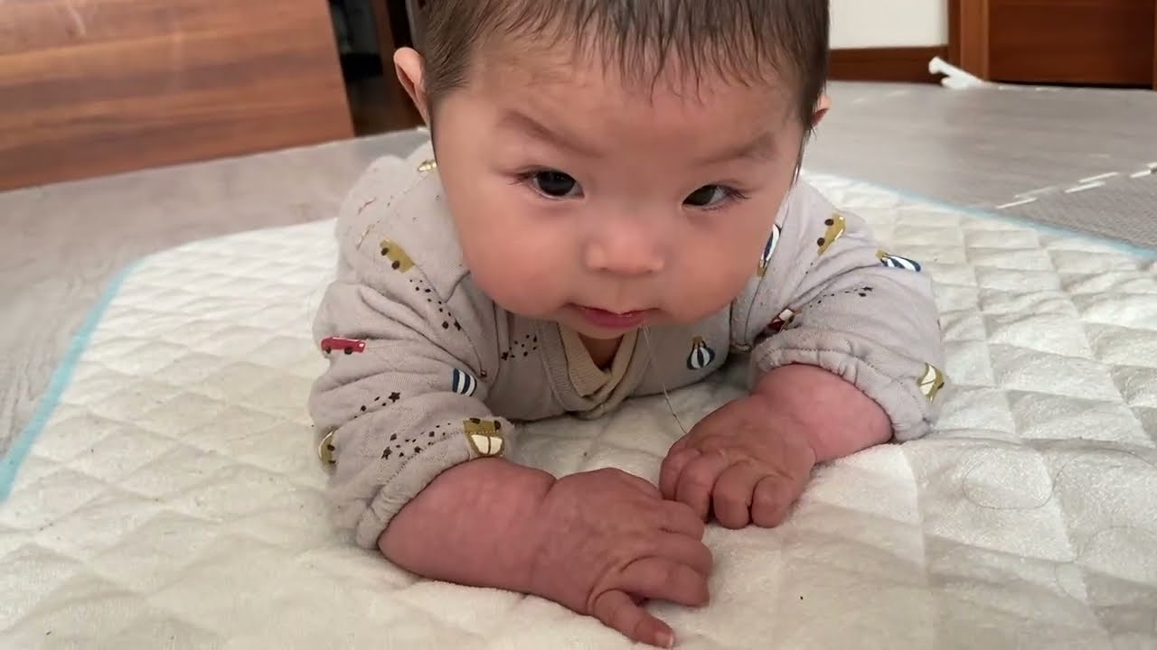 タミータイムは修行の時間？