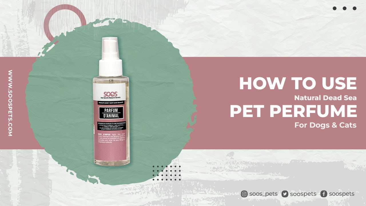 How to Use Natural Dead Sea Pet Perfume For Dogs & Cats -  Soos Pets by Soos Brands