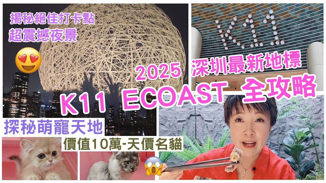 《2025最新深圳 K11  ECOAST全攻略😍》地鐵直達超方便太子灣🚇｜26.9元蟹黃肉鬆多士🦀｜雲頂絕美夜景🌃海上明珠｜💰價值10萬名貓🐱探秘萌寵天地｜🐎空中騎馬🚴‍♂️海濱單車｜必去打卡聖地✨
