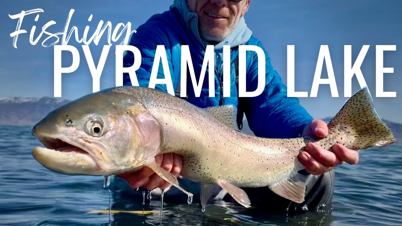 Fishing Pyramid Lake for Lahontan Cutthroat
