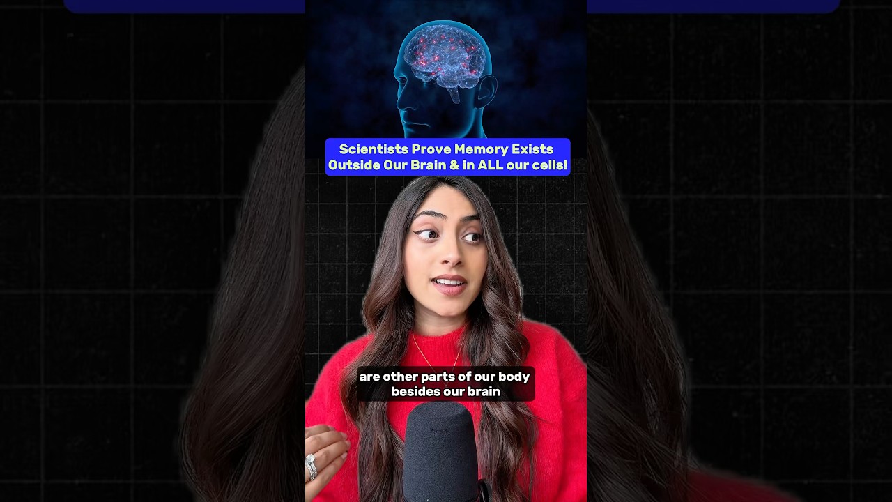 Scientists Prove Memory Exists in Cells OUTSIDE our Brain 🧠