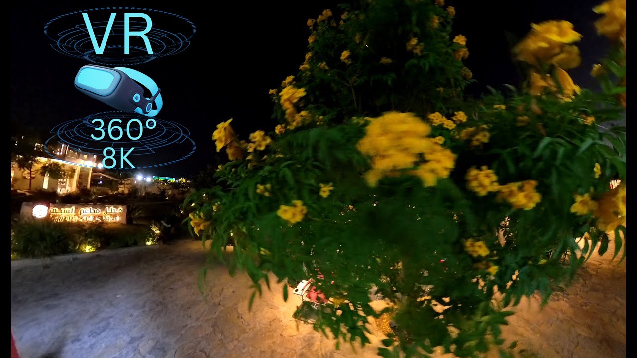 ​[VR 8K] جولة خيالية في مطعم وكافيه 