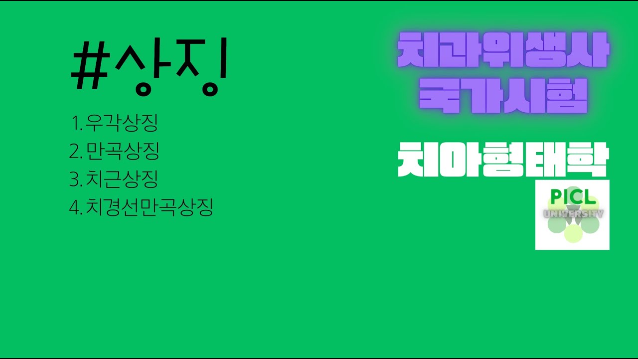 [치아형태학] #치아상징 #우각상징 #만곡상징 #치근상징 #치경선만곡상징
