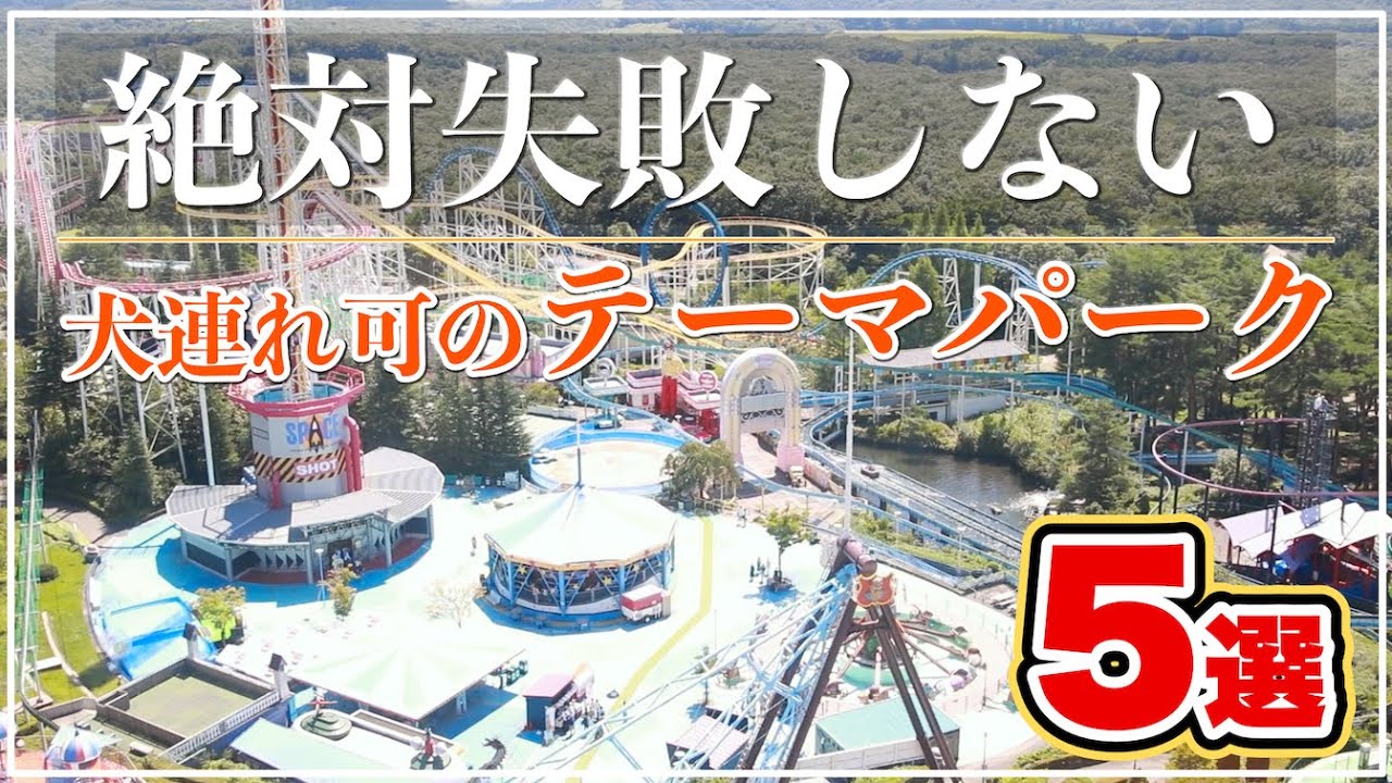 【犬と日帰り旅行・お出かけ】絶対失敗しない関東近県おすすめテーマパーク・遊園地５選（ランキング形式）※各施設の良いところ・気になるところ本音レビュー！静岡／茨城／埼玉／千葉／栃木（旅する豆柴）
