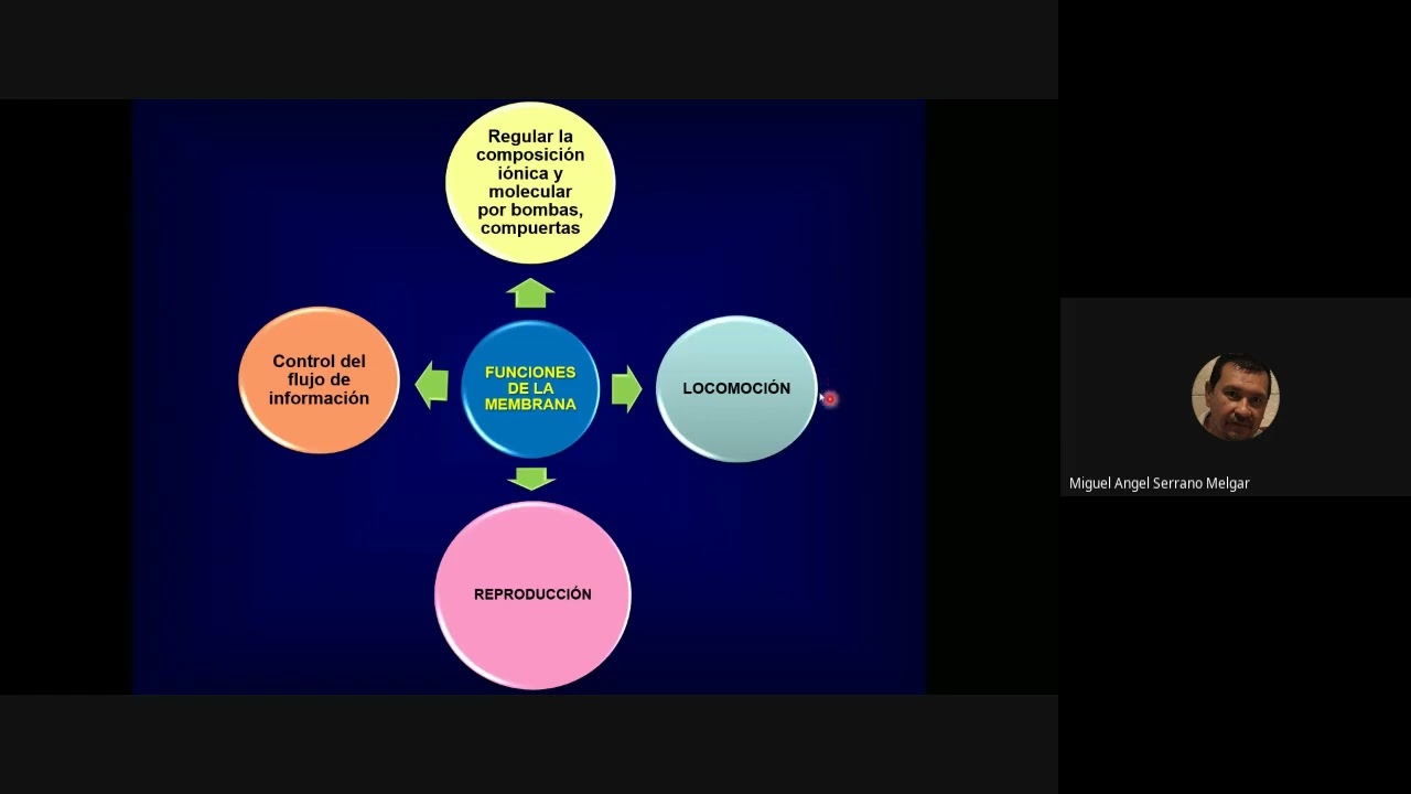 clase 8 estructuras de las membranas biologicas biok 2023