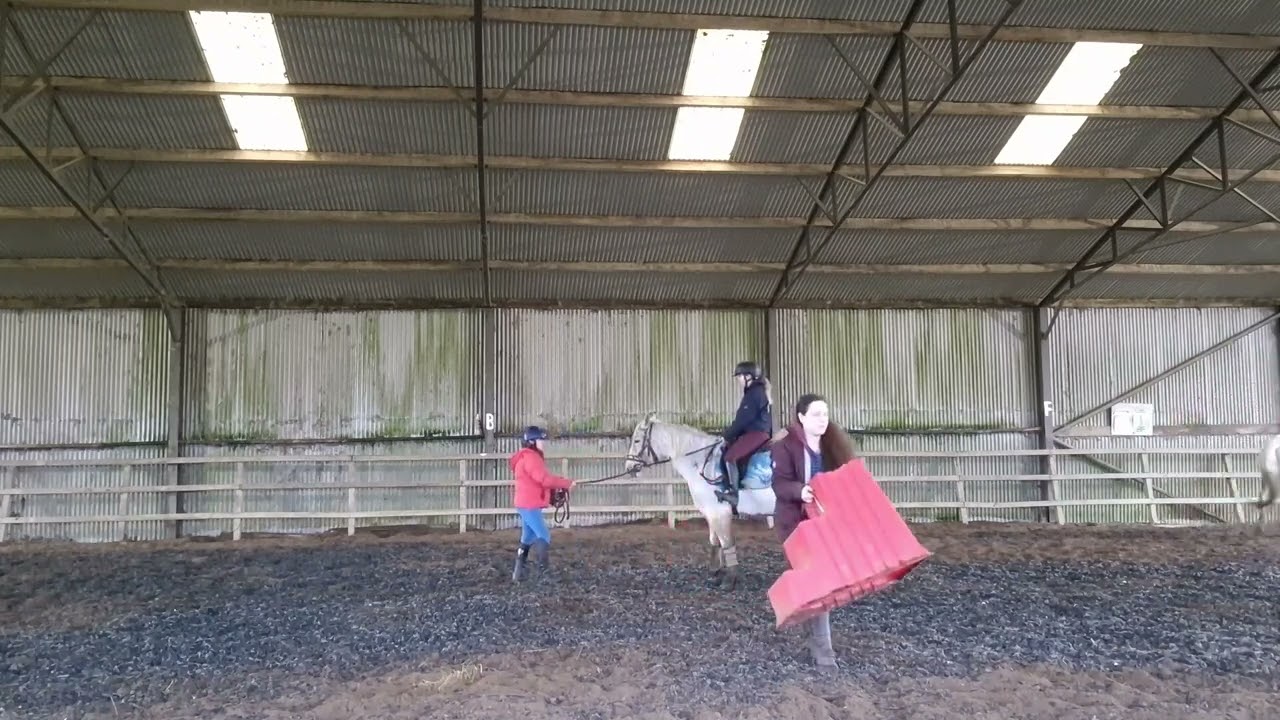 Riding on the lunge part 1