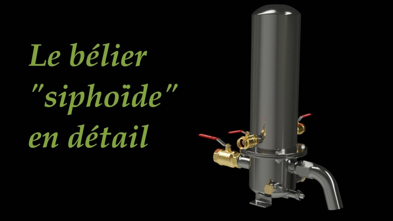 Le bélier siphoïde en détail