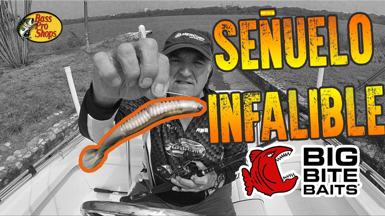 Indispensable en tu caja de pesca para la lobina!