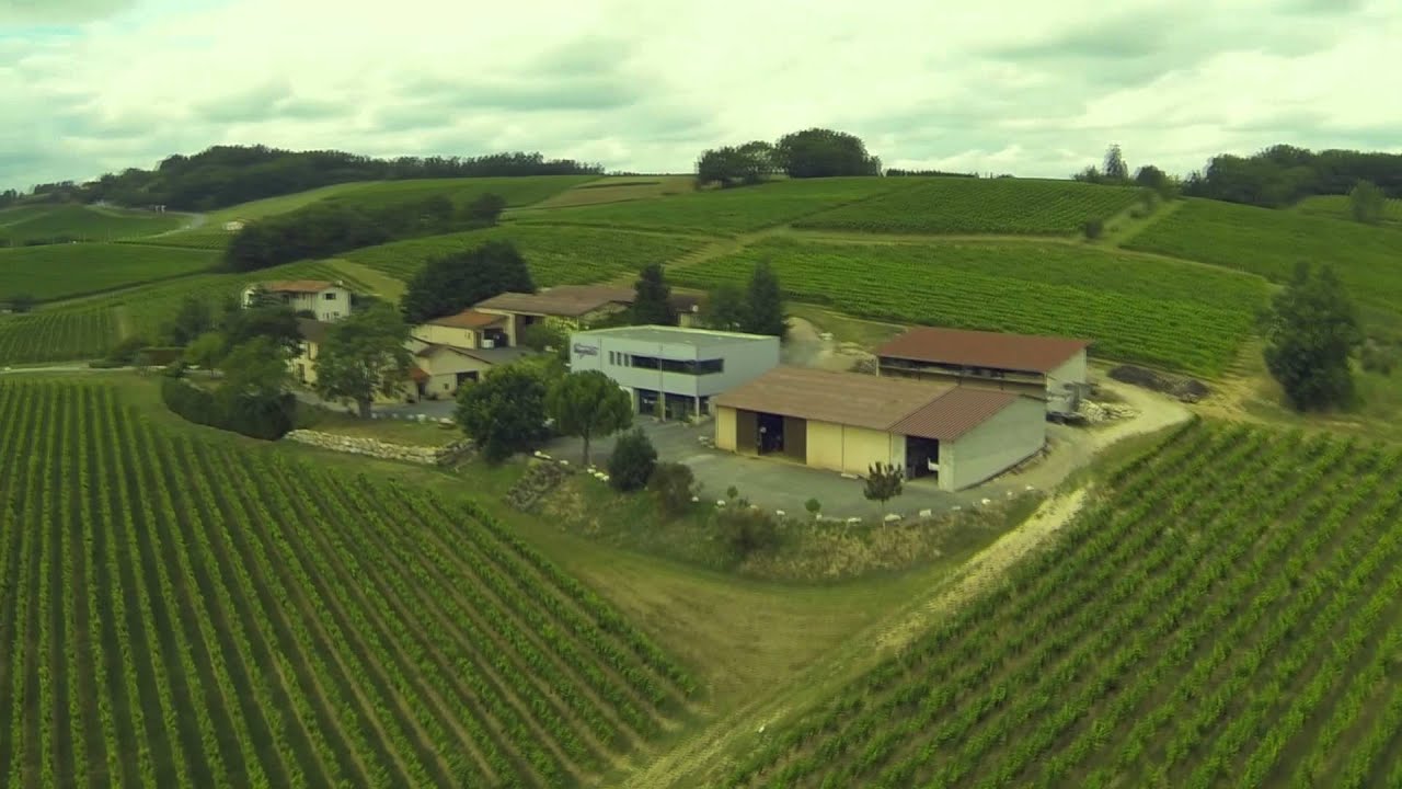 AOP Gaillac - Vins du Sud-Ouest