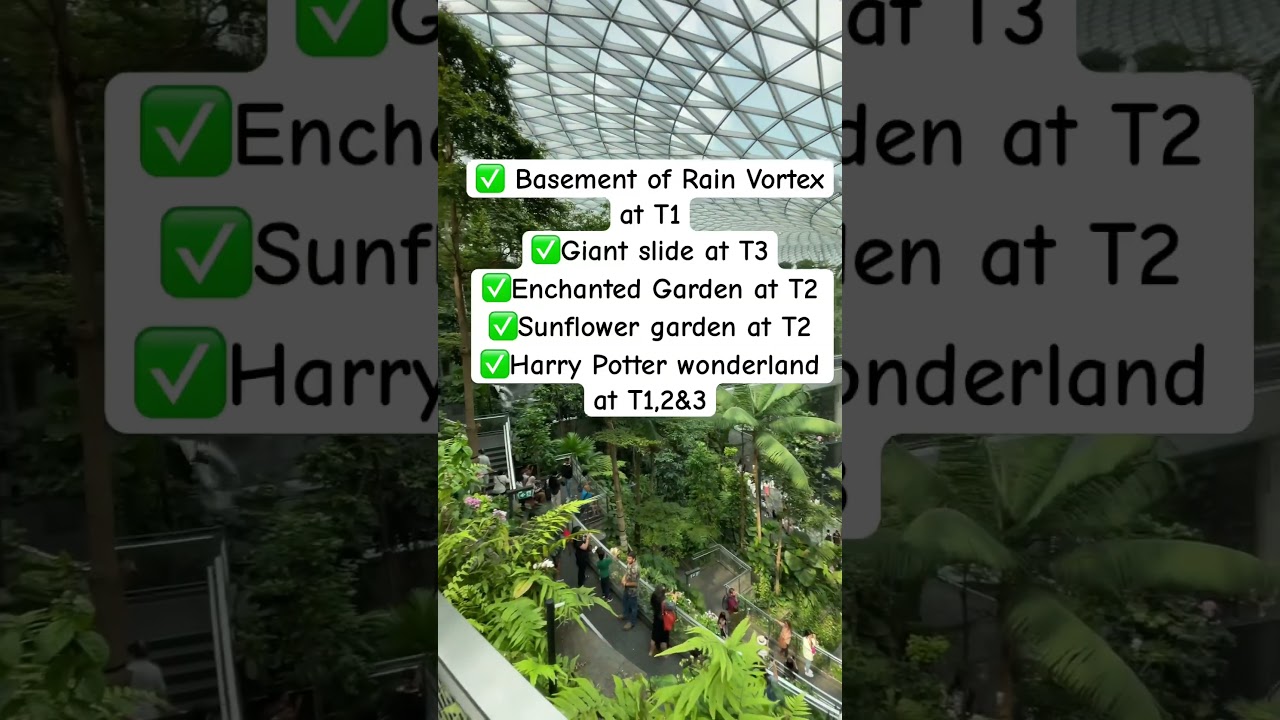 5 Most Amazing places to Visit at Changi Airport Singapore #singaporevlog #singaporetour #travel