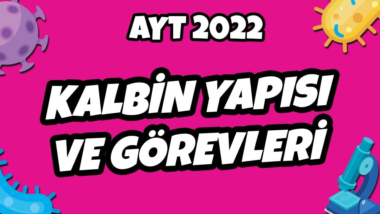 Kalbin Yapısı ve Görevleri | AYT Biyoloji 2022 #hedefekoş