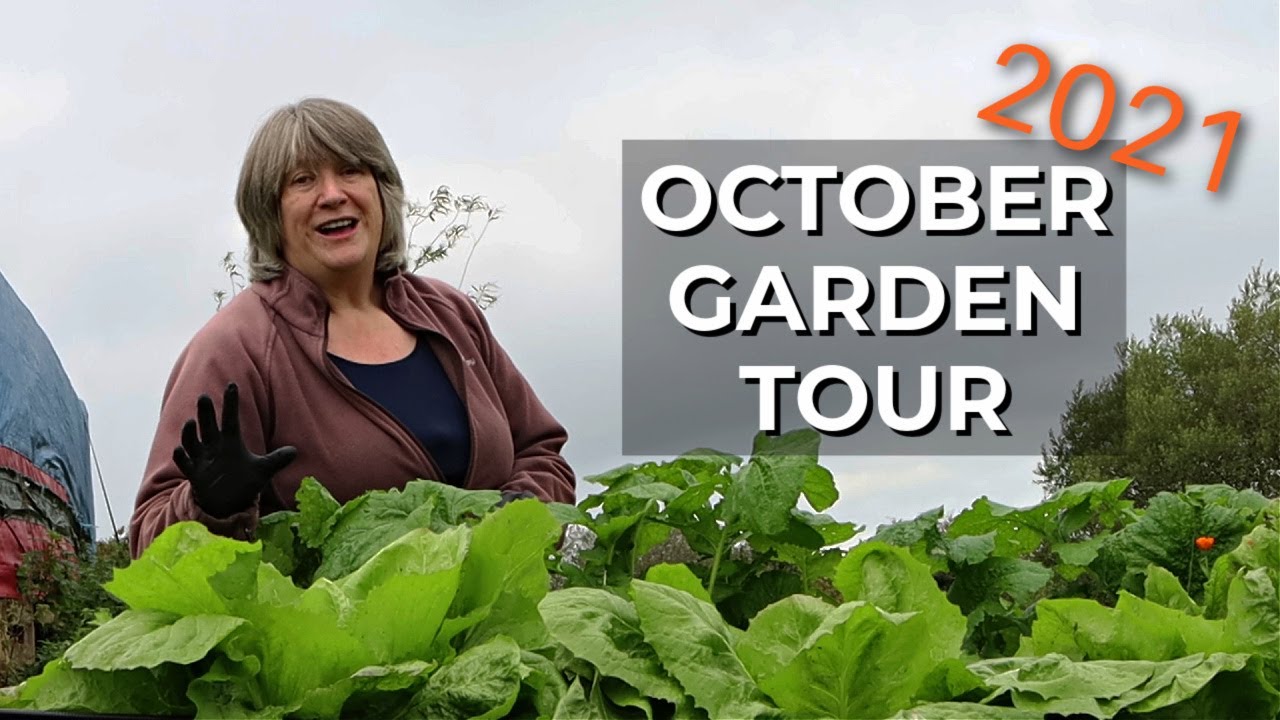 First Harvest in New Garden | Self-Sufficient Future Starts Here