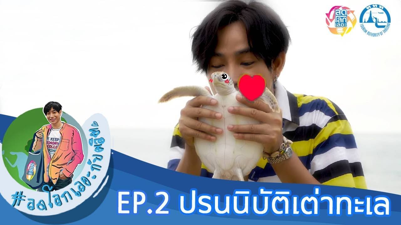 ลดโลกเลอะกับผลิต EP. 02 ปรนนิบัติเต่าทะเลนั่งลีมูซีนพังงา!  เป๊ก ผลิตโชค แหลงใต้โชว์บรรยากาศฟินสุดๆ