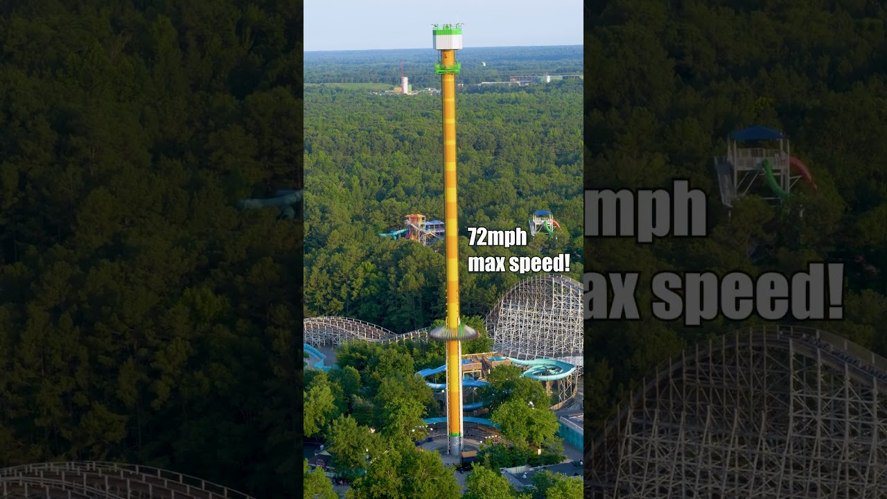 Would You Ride This?! Drop Tower at Kings Dominion #shorts #droptower