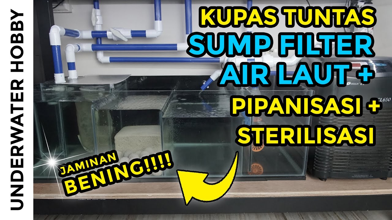 Kupas Tuntas!! Jalur Sump Filter Air Laut + Sterilisasi Aquarium 350L