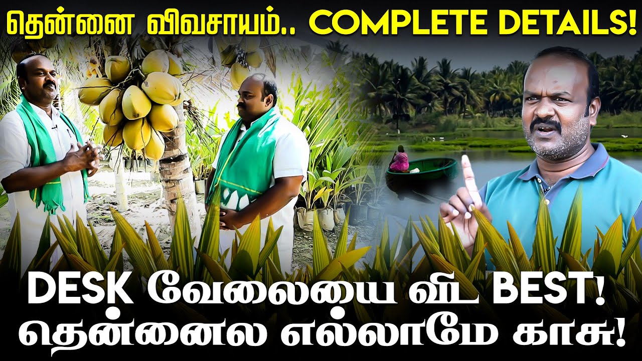 ஒரே மரத்தில் 350காய்கள்... அசத்தும் அரசம்பட்டி தென்னை! | Arasampatti Kennady | Coconut Farming