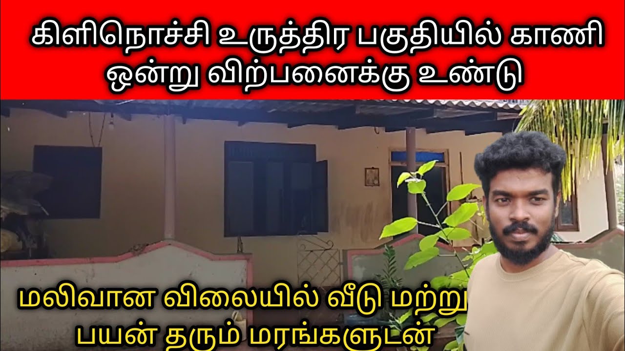 🏠கிளிநொச்சி உருத்திர பகுதியில் காணி ஒன்று விற்பனைக்கு உண்டு | Land for sale | kilinochchi 