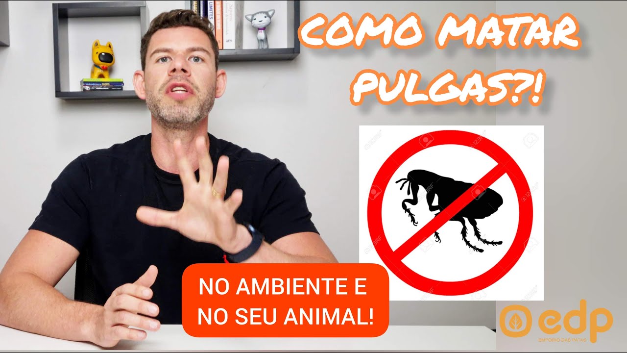 78 | COMO MATAR PULGAS NO AMBIENTE E NO SEU CACHORRO OU GATO - ACABE DE VEZ COM A PULGA!