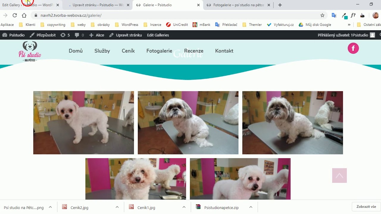 WordPress plugin Foogallery