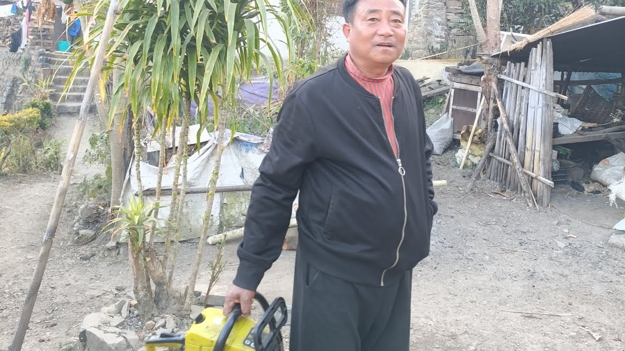 Cutting firewood for the whole year 2026