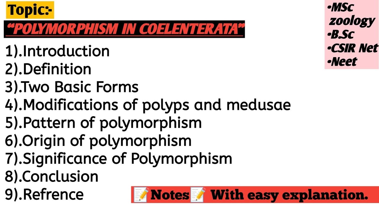 Polymorphism in Coelenterata | Polymorphism in hydrozoa | Polymorphism in cnidaria with theory