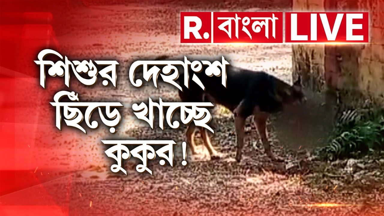 Jalpaiguri Hospital | জলপাইগুড়ি জেলা হাসপাতালে লাটে স্বাস্থ্য পরিষেবা, দেহাংশ মুখে কুকুর ‍| #LIVE