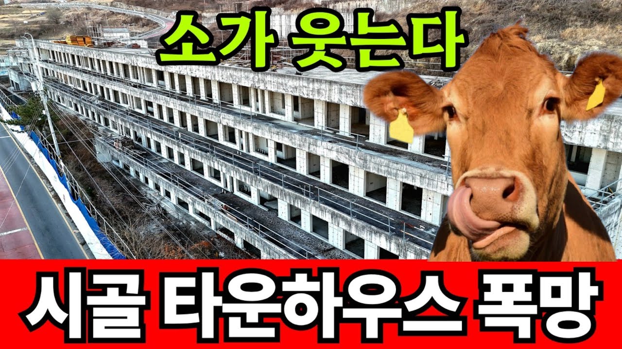 소멸지역에 타운하우스라니 소가 웃는다