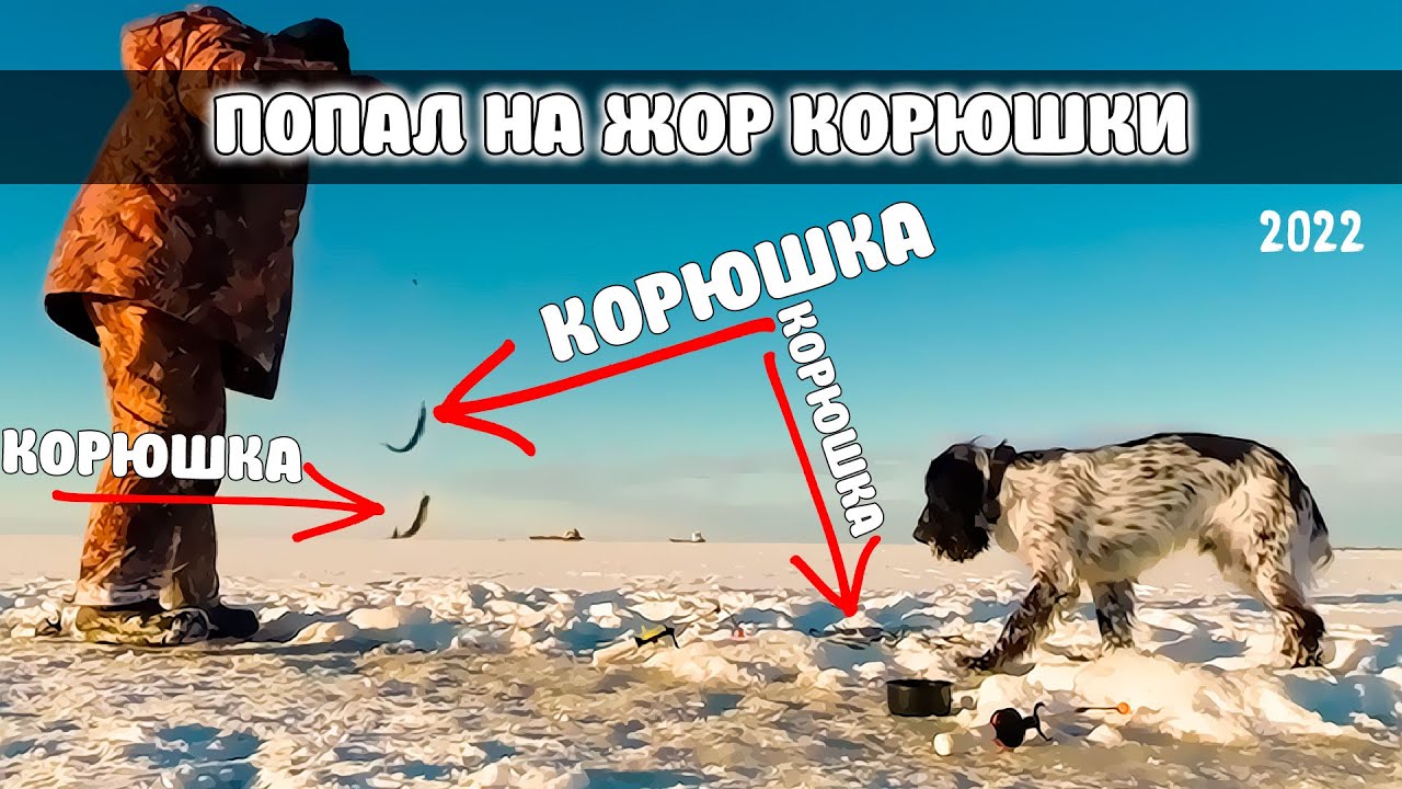 Попал на ЖОР КОРЮШКИ - Вот это рыбалка! Погода сказка! Сезон 2022