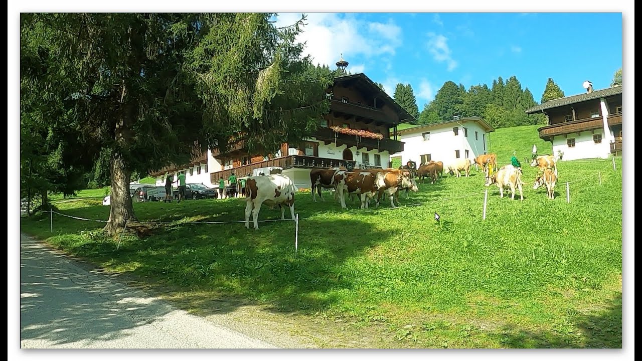 Almabtrieb Auffach 18.09.2021