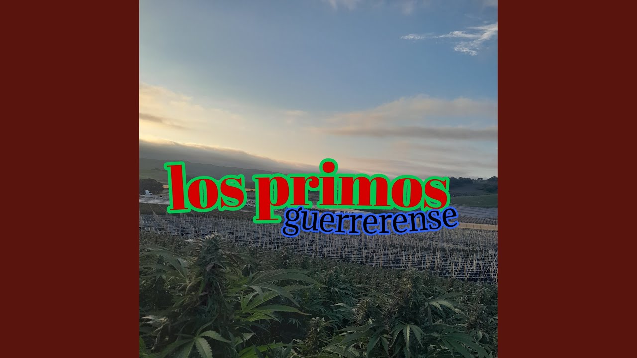 Los primos guerrerense