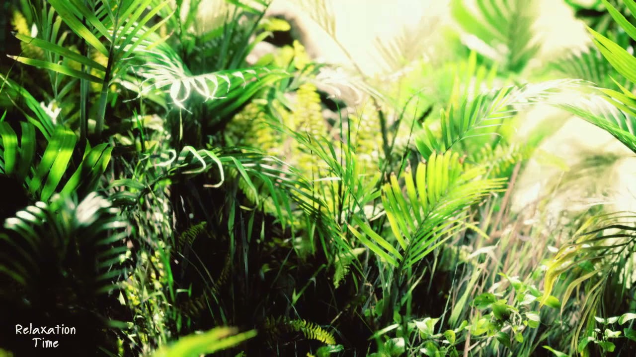 Relaxed Piano Music,Relaxation Time