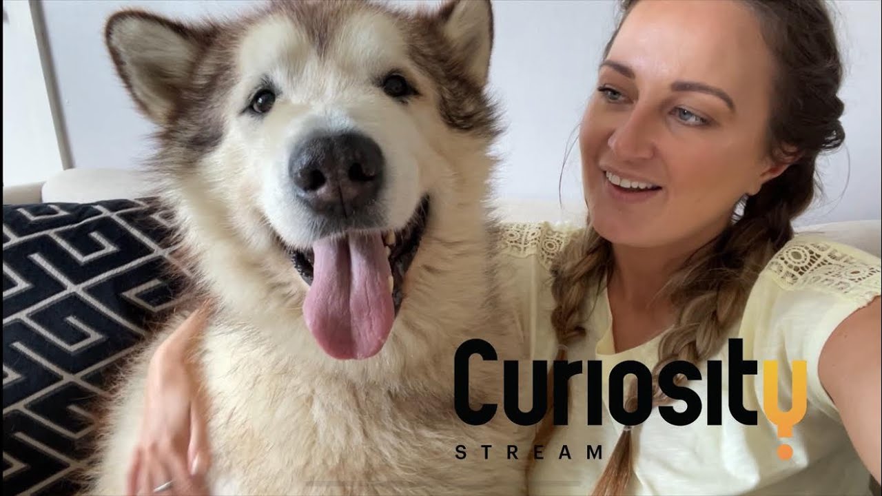 We Found A New Streaming Service! Have You Heard Of This One???