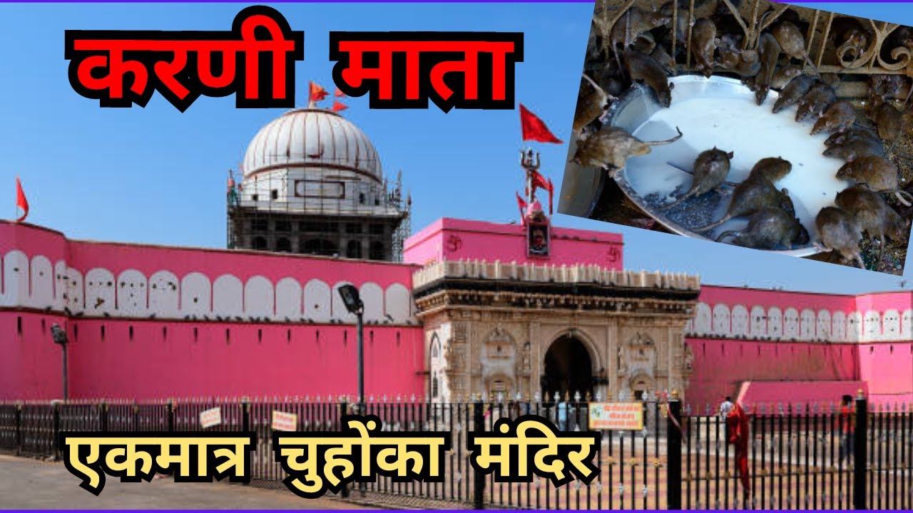 नवरात्री के शुभ अवसरपर Karani Mata Mandir दर्शन.