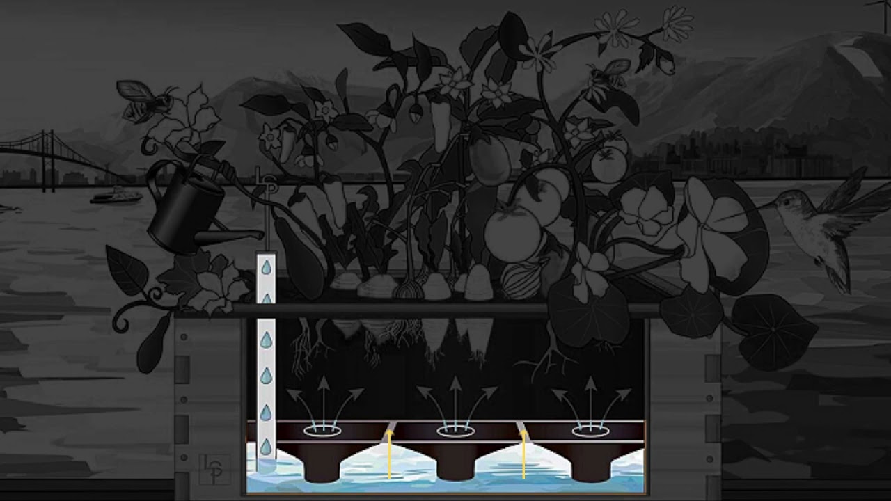 How Sub Irrigation Works (Motion Graphic)