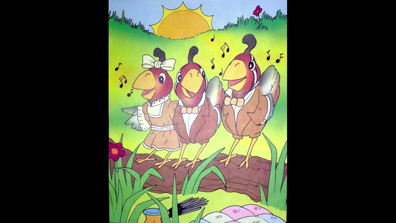 K1-Animal Story-T3-W5-D5-Quentil Quail