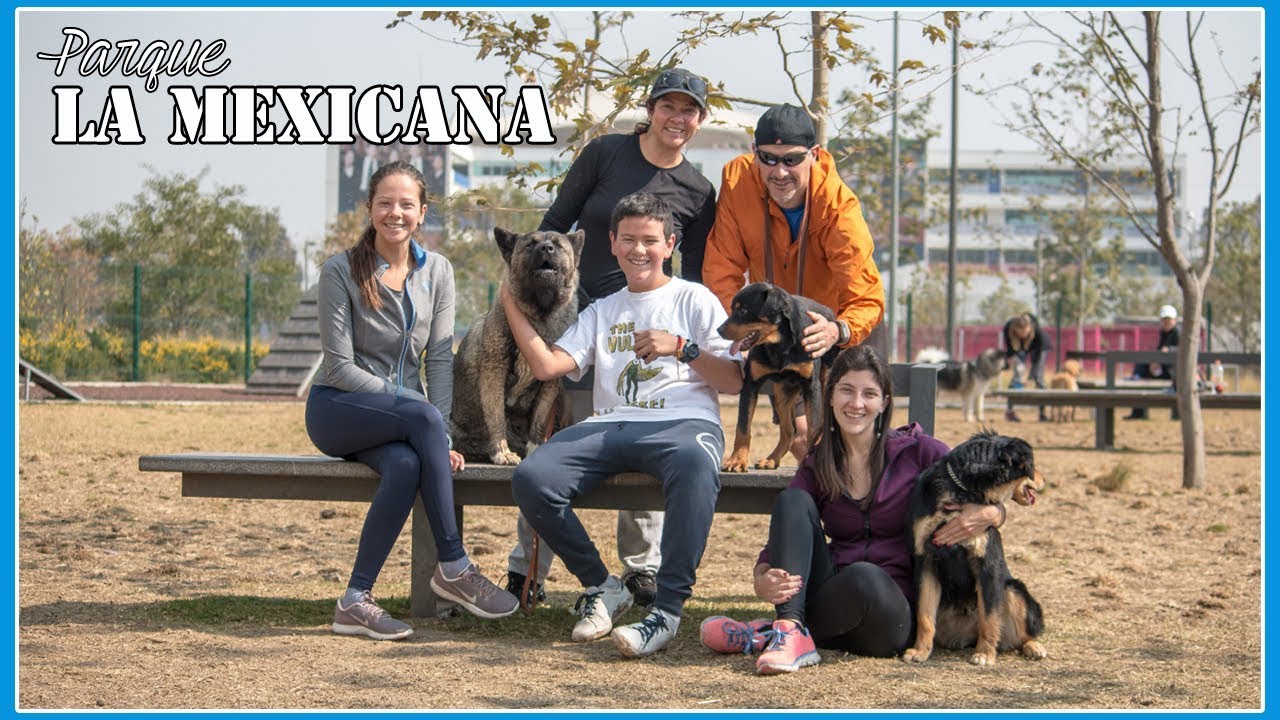 Parque LA MEXICANA en Santa Fe CDMX - parque para perros | lugares para ir CON TUS PERROS en CDMX 🐶