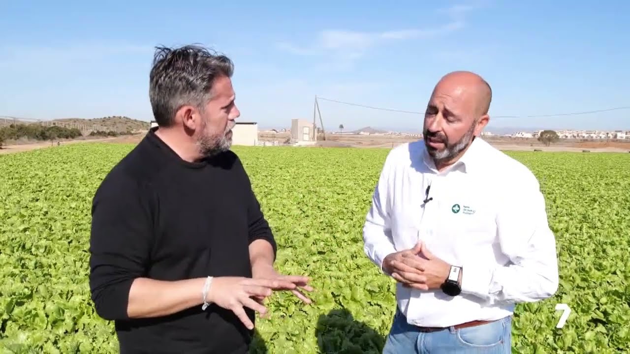 Cultivo de lechuga en sistema hidropónico NGS en el Mar Menor