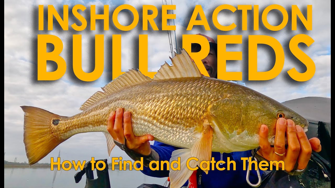 Battling HUGE REDFISH INSHORE on Garmin LiveScope - Saltwater Fishing Inshore Jacksonville Florida