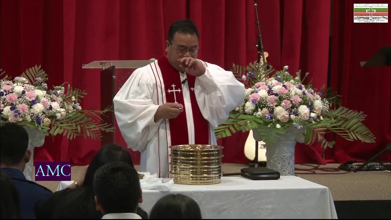 AMC Live Stream