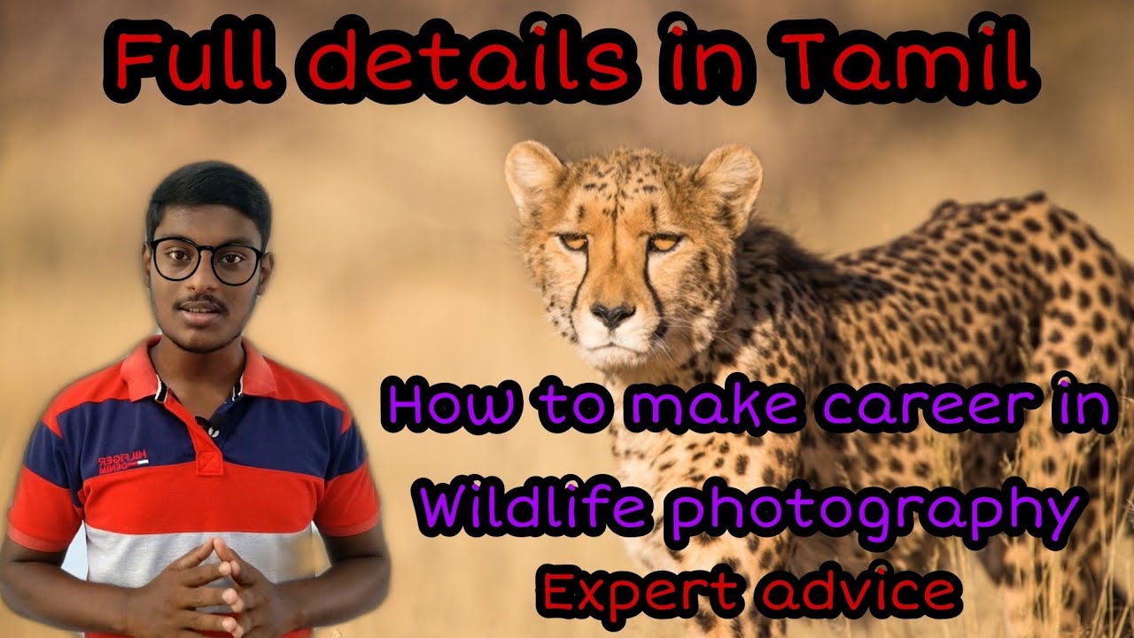 How to make Career in Wildlife Photography | Tamil | Dilshan Digitals