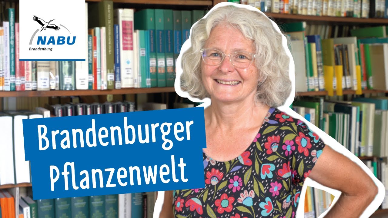 Pflanzenvielfalt in Brandenburg