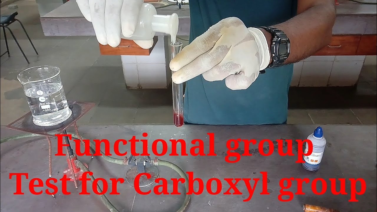 Test for carboxyl group Functional group class 12 chemistry practical file