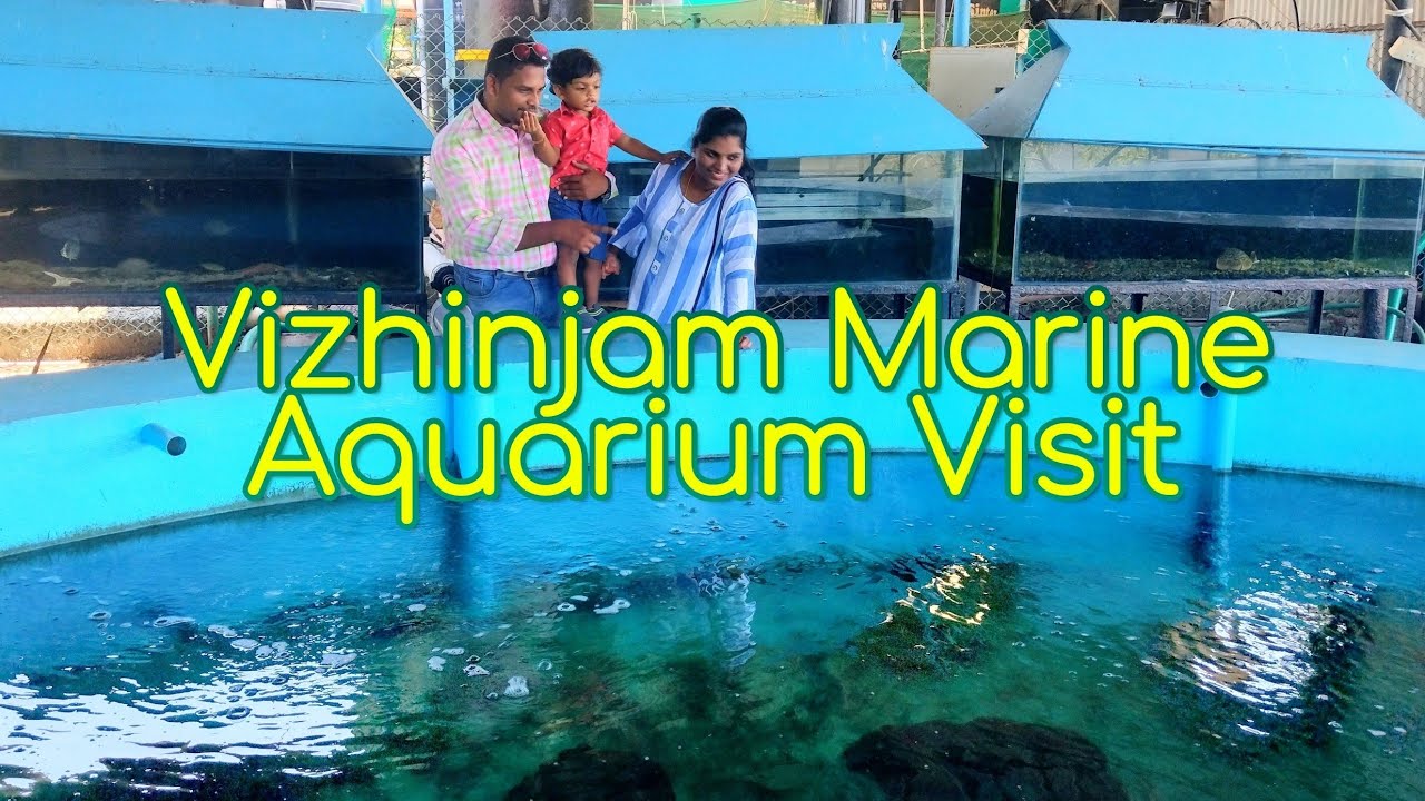Vizhinjam Marine Aquarium visit with Chen's wings|Sagarika|Marine Research Institute Aquarium|