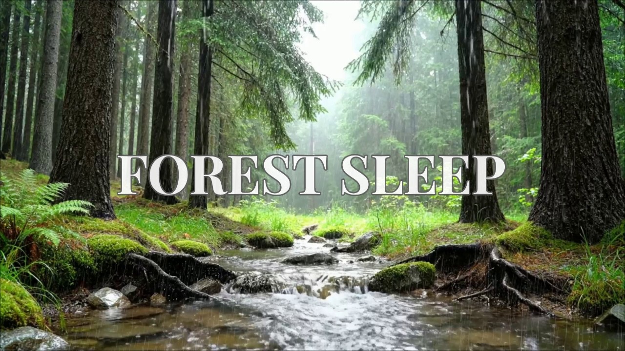 12 Hours Dusk Rain ASMR at Mossy Forest Stream for Instant Anxiety Relief in Full HD 1080p 🌿