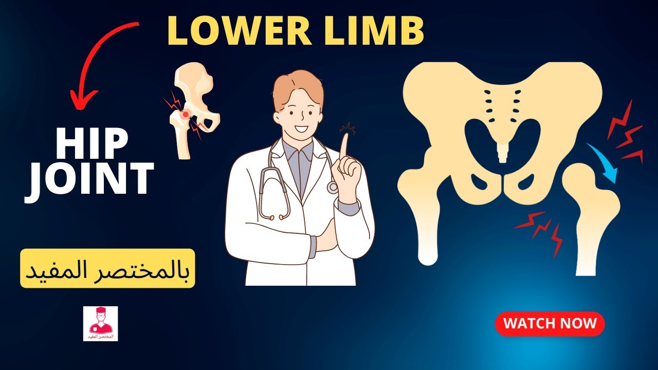 مفصل الورك ||  (bones - ligaments- joint capsule - bursae - )HIP JOINT